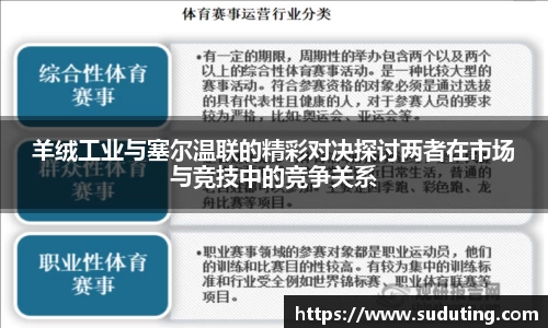 羊绒工业与塞尔温联的精彩对决探讨两者在市场与竞技中的竞争关系